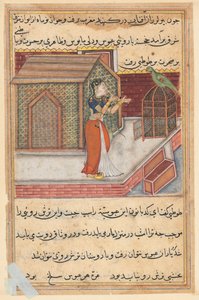 Sivu julkaisusta Tales of a Parrot Tuti-nama: Neljäkymmentäyhdeksäs yö: Papukaija puhuu Khujasta..., c1560. tekijältä Unbekannt