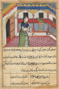 Sivu julkaisusta Tales of a Parrot Tuti-nama: Neljäkymmentätoinen yö: Papukaija puhuttelee..., c. 1560. tekijältä Unbekannt