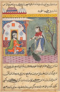 Sivu julkaisusta Tales of a Parrot Tuti-nama: Yhdeksästoista yö: Brahmanin vaimo..., n. 1560. tekijältä Unbekannt