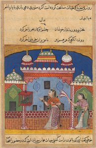 Sivu julkaisusta Tales of a Parrot Tuti-nama: 22. yö: Papukaija puhuu..., c. 1560. tekijältä Unbekannt