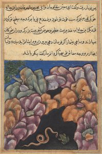 Sivu julkaisusta Tales of a Parrot Tuti-nama: Kahdeskymmeneskuudes yö: Käärme astuu sisään..., n. 1560. tekijältä Unbekannt