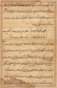 Sivu julkaisusta Tales of a Parrot Tuti-nama: tekstisivu, n. 1560. tekijältä Unbekannt