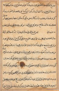 Sivu julkaisusta Tales of a Parrot Tuti-nama: tekstisivu, n. 1560. tekijältä Unbekannt