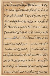 Sivu julkaisusta Tales of a Parrot Tuti-nama: tekstisivu, n. 1560. tekijältä Unbekannt