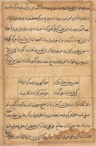 Sivu julkaisusta Tales of a Parrot Tuti-nama: tekstisivu, n. 1560. tekijältä Unbekannt