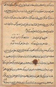 Sivu julkaisusta Tales of a Parrot Tuti-nama: tekstisivu, n. 1560. tekijältä Unbekannt