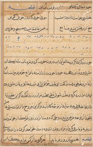 Sivu julkaisusta Tales of a Parrot Tuti-nama: tekstisivu, n. 1560. tekijältä Unbekannt
