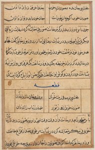 Sivu julkaisusta Tales of a Parrot Tuti-nama: tekstisivu, n. 1560. tekijältä Unbekannt