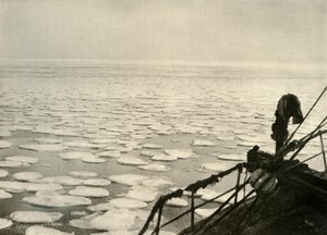 Pannukakkujää Ross-merellä, c1908, 1909. tekijältä Unbekannt