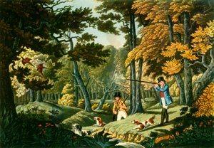 "Pheasant Shooting near Uxbridge", c1824, 1943. tekijältä Unbekannt