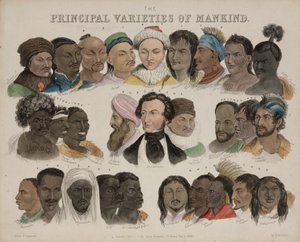 Fysiognomia "Ihmiskunnan tärkeimmät lajikkeet", 3. toukokuuta 1850 tekijältä Unbekannt
