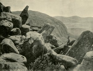 Pinnacle & Organ Pipes, Mount Wellington, 1901. tekijältä Unbekannt