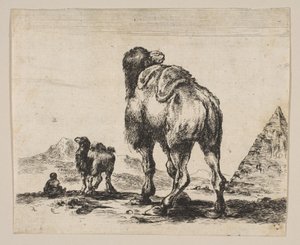 Levy 18: kameli takaa katsottuna, oikealla pyramidi, Various animals Di..., vuoden 1641 jälkeen. tekijältä Unbekannt