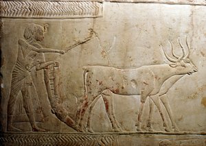 Auraus egyptiläisestä steelestä, 18. dynastia, 1332 eKr.-1323 eKr. tekijältä Unbekannt