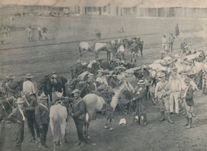Putkimiehet Horse, c1900. tekijältä Unbekannt