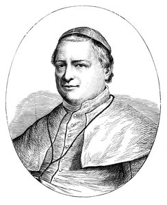 Paavi Pius IX, 1792-1878 tekijältä Unbekannt