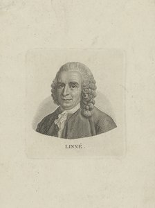 Carl Linnaeuksen muotokuva 1707-1778, n. 1780. tekijältä Unbekannt