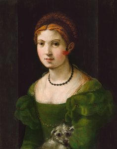 Nuoren naisen muotokuva, 15301540. tekijältä Unbekannt