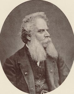 Säveltäjä Federico Riccin muotokuva 1809-1877 n. 1870. tekijältä Unbekannt