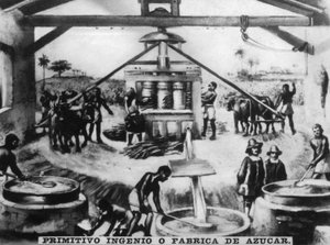 Alkukantainen nerokkuus, 1500-luku, 1920-luku tekijältä Unbekannt