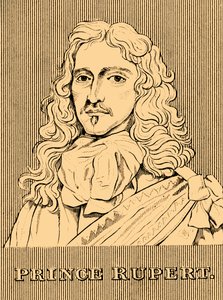 Prinssi Rupert, 1619-1682, 1830. tekijältä Unbekannt