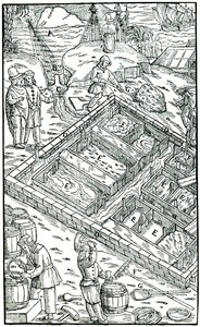 Suolan valmistus haihduttamalla merivettä suolaaltaissa, 1556 tekijältä Unbekannt