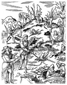 Metallien etsintä, 1556 1956 tekijältä Unbekannt