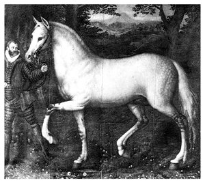 Queen Elizabeth on hevonen, 1896 tekijältä Unbekannt