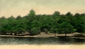 Queensmere, Wimbledon Common, Lontoo, 1903. tekijältä Unbekannt