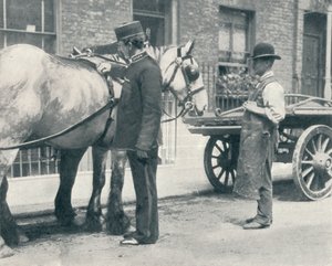 RSPCA-tarkastaja tutkii hevosta, c1903 1903 tekijältä Unbekannt