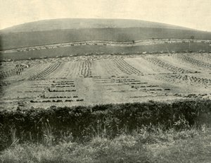Reaper & Binder Competition, Mount Blowhard, lähellä Ballaratia, 1901. tekijältä Unbekannt