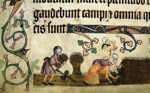 Lyhteiden niitto ja sitominen Luttrell-psalterista, n. 1330 tekijältä Unbekannt