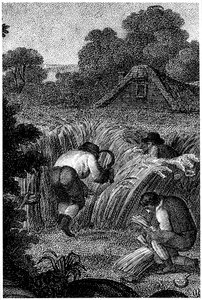 Niitto sirpeillä ja lyhteiden sitominen, Englanti, c1800 tekijältä Unbekannt