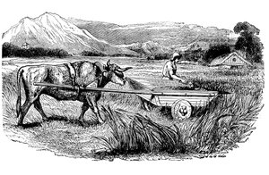Roomalaisen niittokärryn rekonstruktio, kuten Plinius on kuvannut, Kaiverrus, 1860 tekijältä Unbekannt