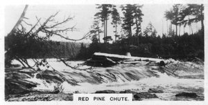 Red Pine Chute, Kanada, 1920-luku tekijältä Unbekannt