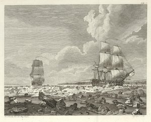 Reise nach dem Nordpol tekijältä Unbekannt