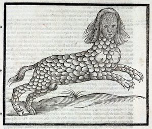 "Representation de la Creature Lamia (Sybaris) Gravure tiree "History of Four-footed Beastes" d