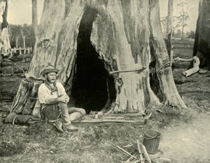 Lepo, 1901. tekijältä Unbekannt