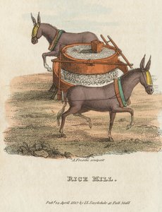 Riisimylly, 1813 tekijältä Unbekannt