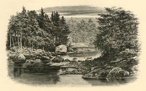 River Scene, Langdale, 1890. tekijältä Unbekannt