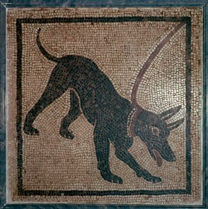 Roomalainen koiran mosaiikki, 1. vuosisata tekijältä Unbekannt