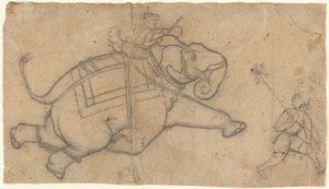 Running Elephant recto, harjoituslehti Elephant Sketches verso, 1700-luvun puoliväli. tekijältä Unbekannt