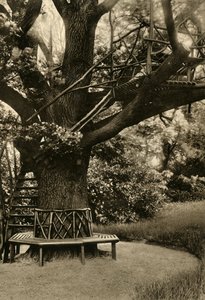 Maalaismainen hoito. - Kesämökki puussa, ihanteellinen teehuone, 1920. tekijältä Unbekannt