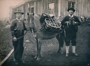Saetersdalen Highlanders ja laumahevonen, 1914. tekijältä Unbekannt