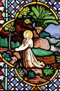 Saint-Corentinin (Saint Corentin) katedraali, Quimperin lasimaalaus : Johannes Kastaja autiomaassa, Quimper, Ranska tekijältä Unbekannt