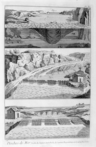 Lohenkalastus, 1751-1777 tekijältä Unbekannt