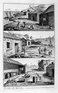 Suolaus, pesu, sardiinien pakkaus, 1751-1777 tekijältä Unbekannt