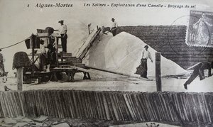 Saltworks, Camargue, Aigues-Mortes, Provenence, Ranska (m/v kuva) tekijältä Unbekannt