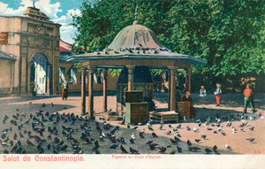 Salut de Constantinople - Kyyhkyset Eyoubin hovissa, n. 1900 tekijältä Unbekannt