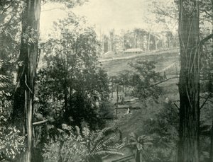 Kohtaus Upper Gembrookissa, Victoriassa, 1901. tekijältä Unbekannt